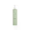 Detergente Viso Purificante - Gyada